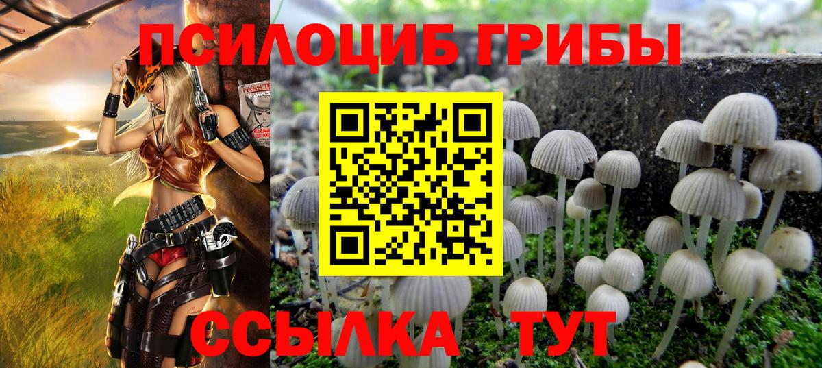 Коркино  цены   Вход с VPN  Псилоцибиновые грибы Psilocybe  Псилоцибиновые грибы ЛСД 