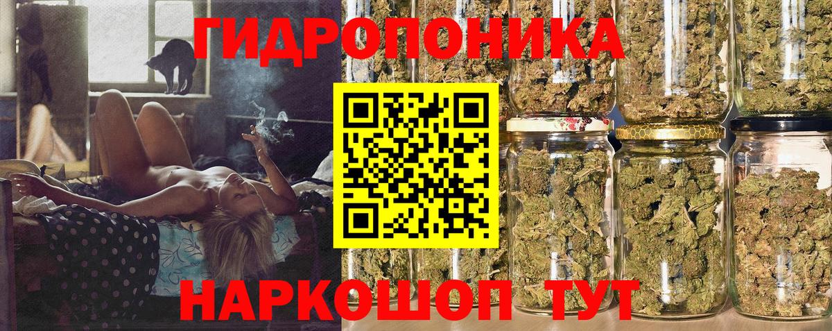 Бошки марихуана SATIVA & INDICA  Вход с VPN  Канабис OG Kush  Коркино 